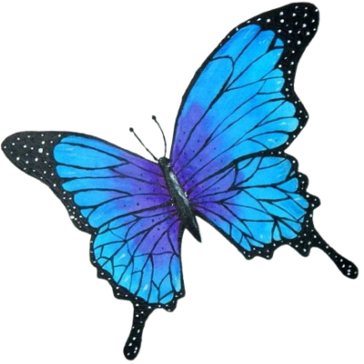 Mariposa